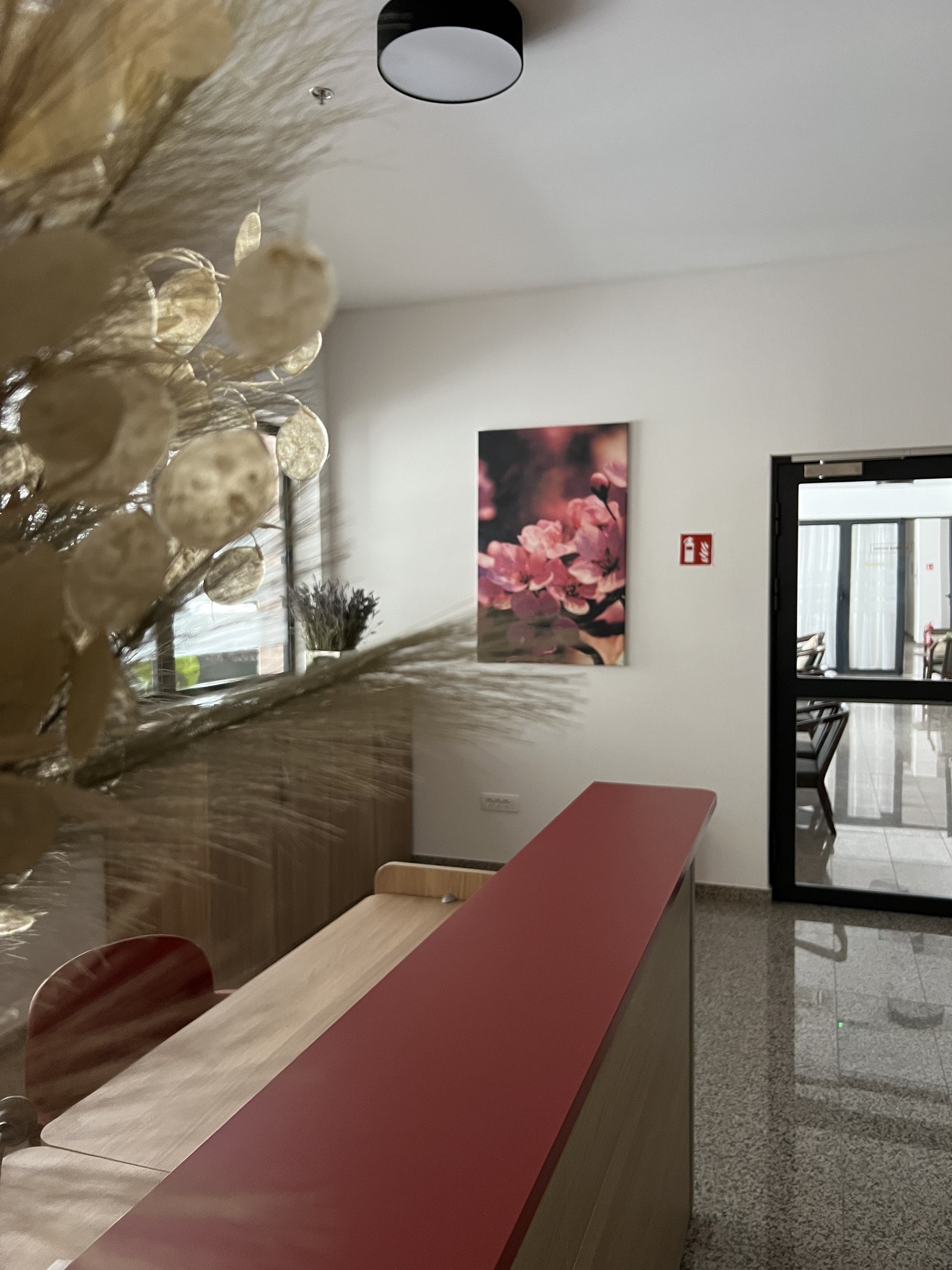 ENTRANCE AND RECEPTION (ULAZ I RECEPCIJA)