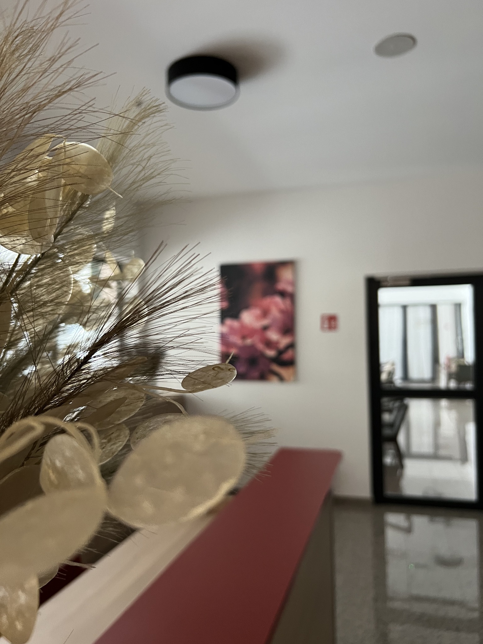 ENTRANCE AND RECEPTION (ULAZ I RECEPCIJA)