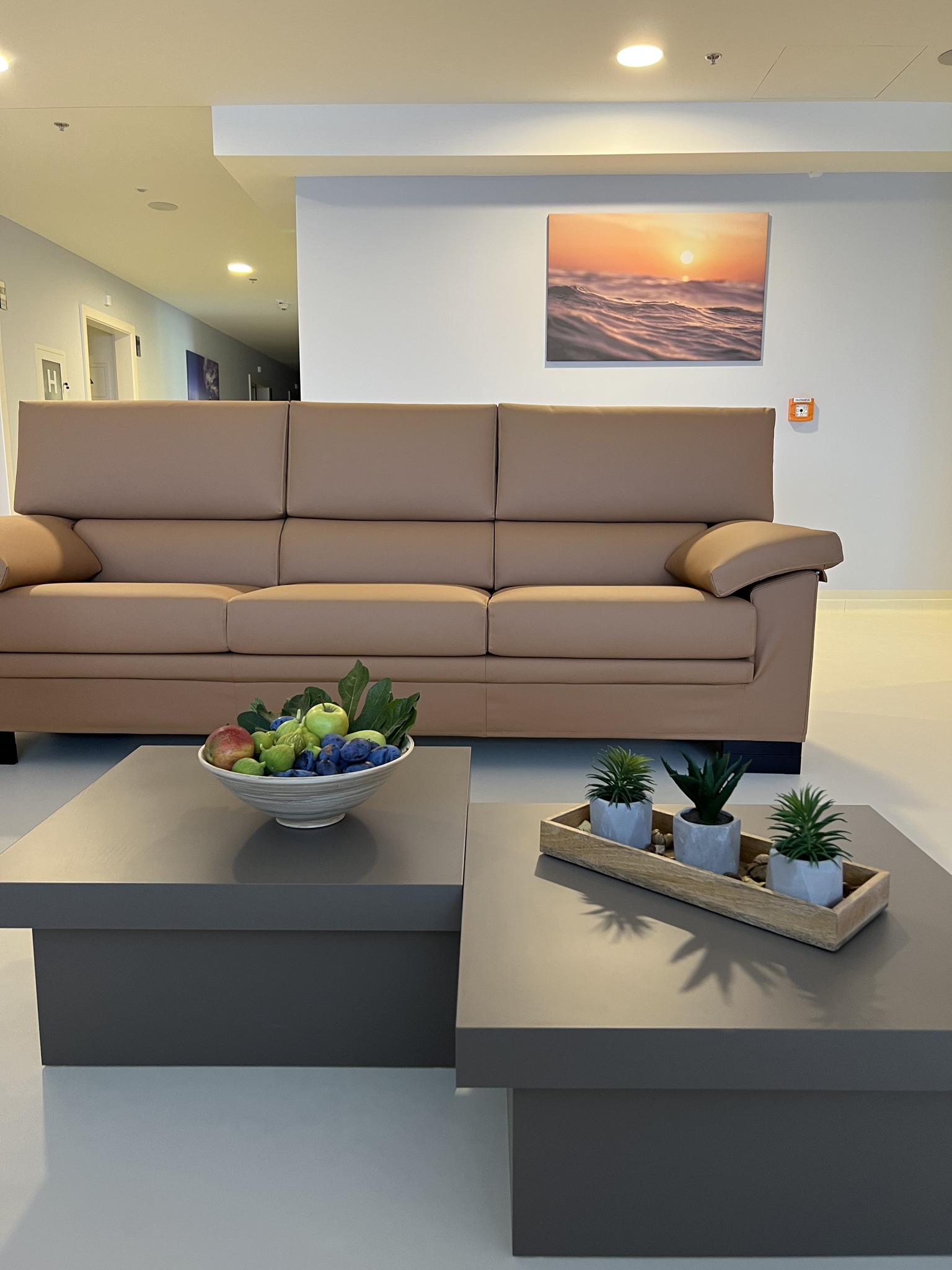 LIVING ROOM (DNEVNI BORAVAK)