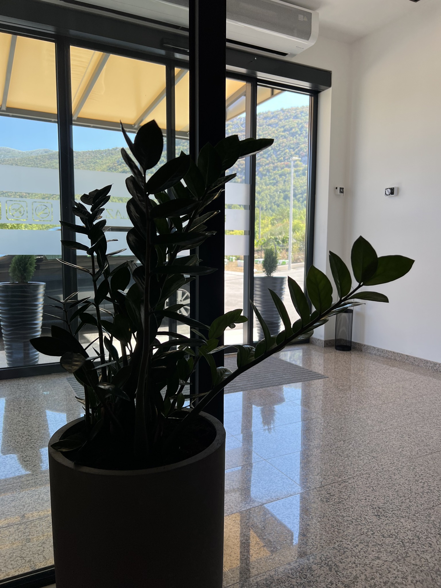 ENTRANCE AND RECEPTION (ULAZ I RECEPCIJA)